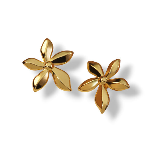 ARETES MAISON