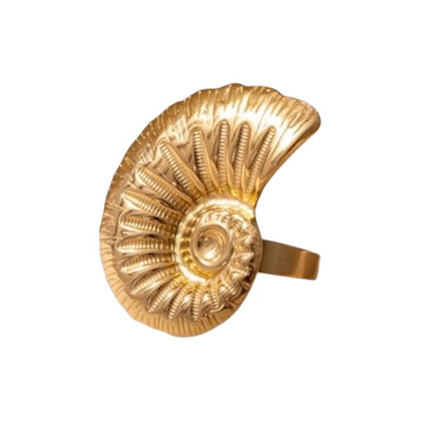 ANILLO CONCHA