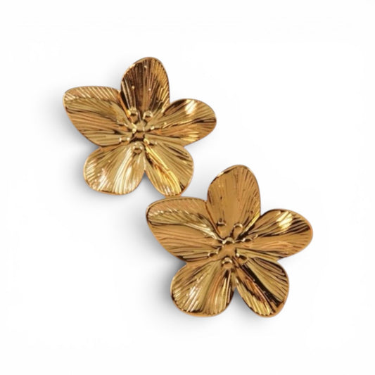 ARETES ENCANTO