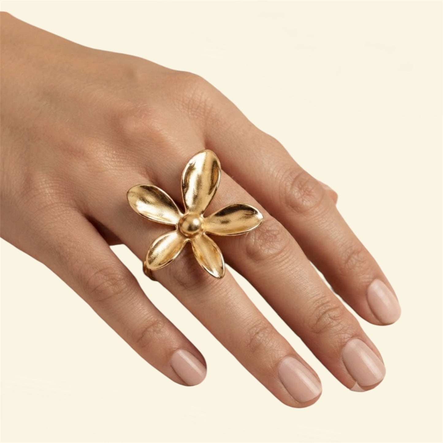 ANILLO MAISON