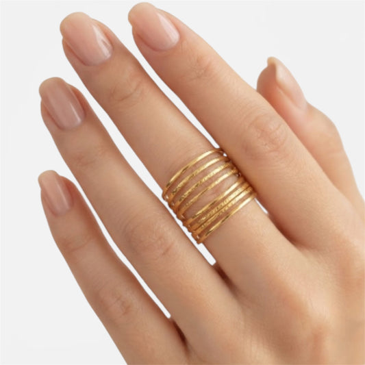 ANILLO TIMELINE
