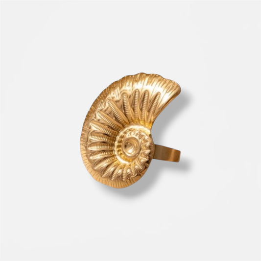 ANILLO CONCHA