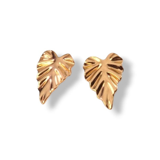 ARETES CUTE