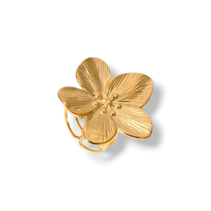 ANILLO ENCANTO