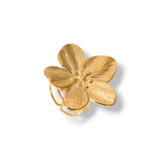 ANILLO ENCANTO