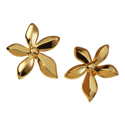 ARETES MAISON