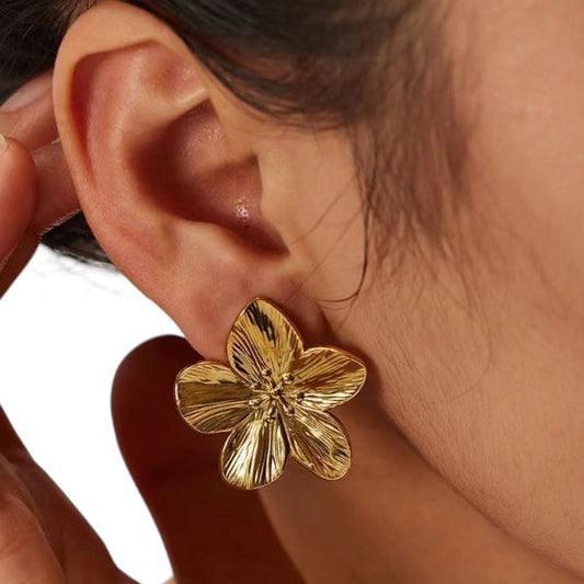 ARETES ENCANTO
