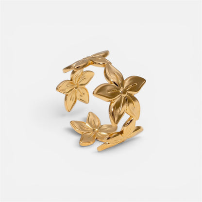 ANILLO ISA