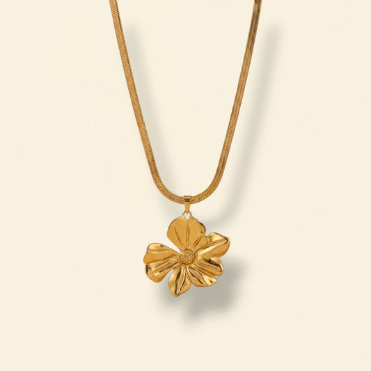 COLLAR BELIE