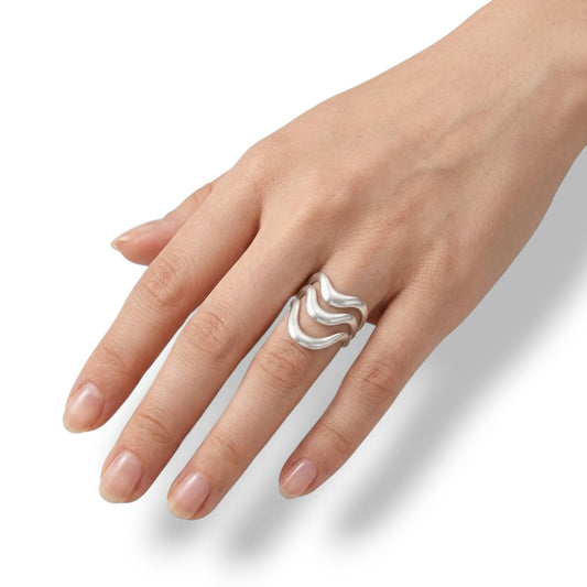 ANILLO ZEBRA